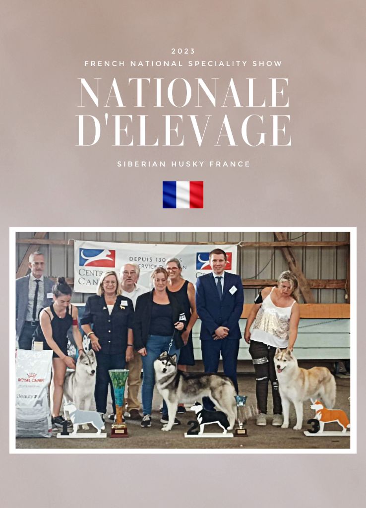 Nookilik's - Nationale d'Elevage 2023 - Cérilly