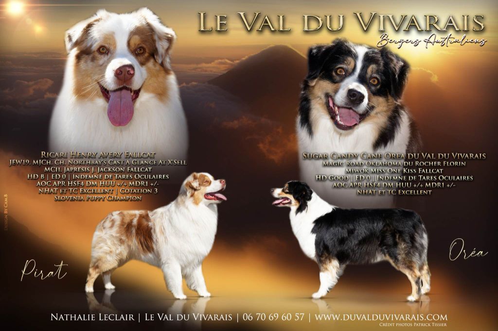 Du Val Du Vivarais - les BB de Pirat et Orea sont nés !