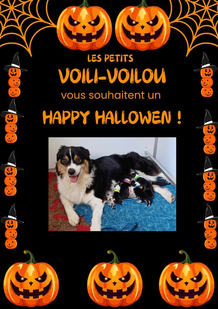 Du Val Du Vivarais - on prépare HALLOWEN ! 