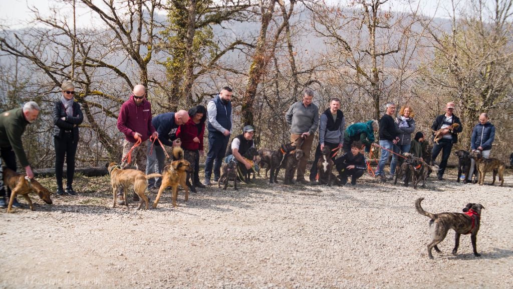 Di Pietre Bianche - nouvel album photos en ligne - samedi 19 mars.