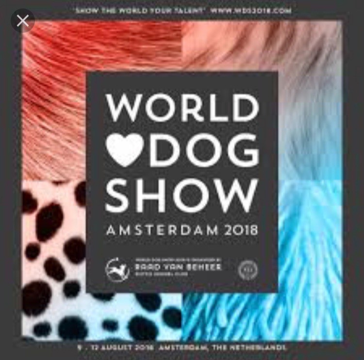 Ilex Auréu's - World Dog Show 2018