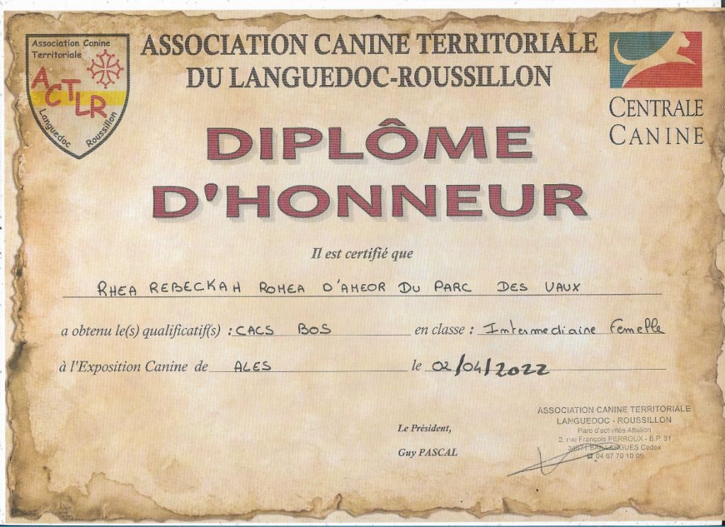 Exposition Canine Nationale  de ALES 30100.