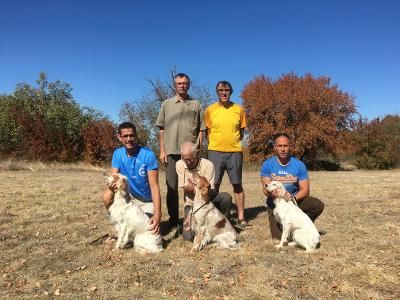 De Terro Tant Aïmado - Test Aptitude à la Chasse 