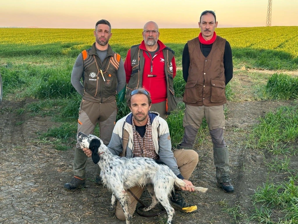 Des Belles De Beaulieu - Grande Quête MARCHENA 