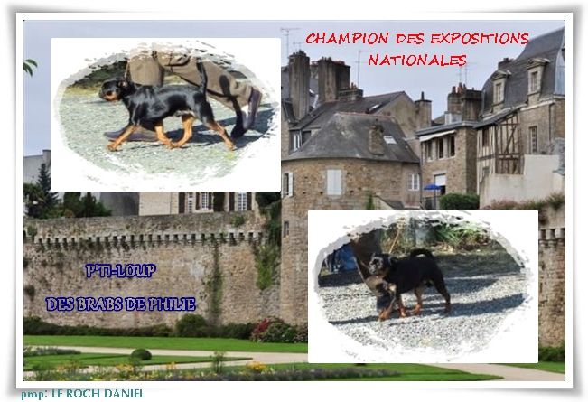 TITRE DE CHAMPION DES EXPOSITIONS NATIONALES