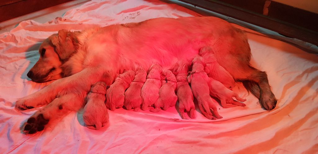 Pleins de bébés à la tribu, la famille s'agrandit 