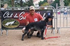 Du Pic Pointu - exposition canine de Millau 2019