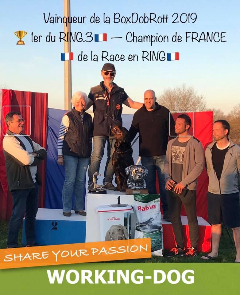 Champion de France de la race en RING 2019