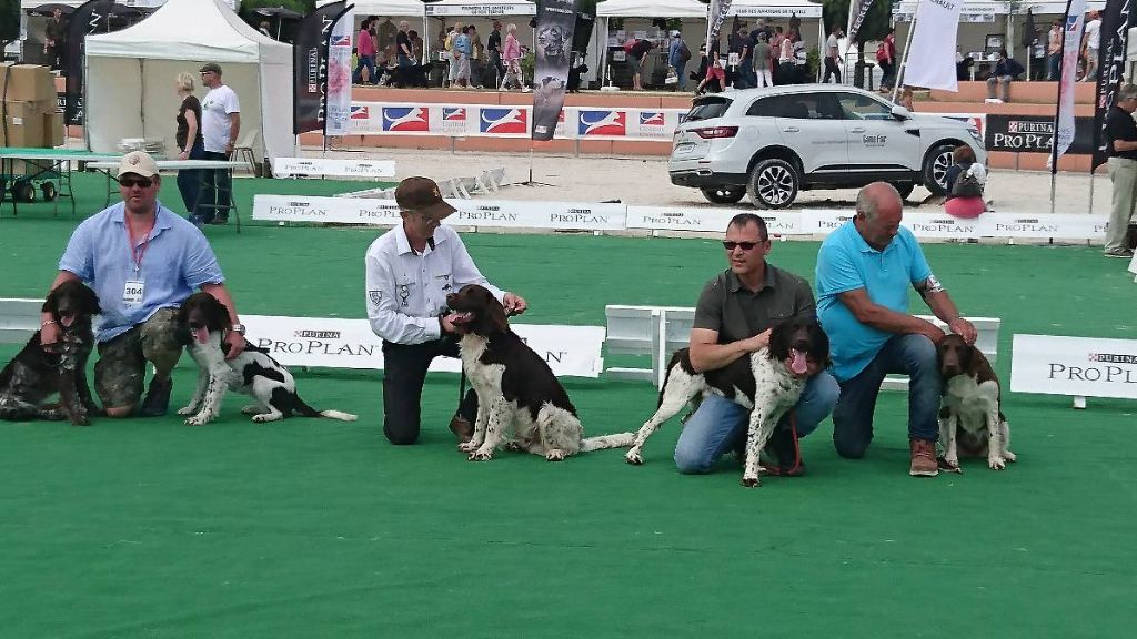 Des Falaises Du Saint Eynard - GAME FAIR 2018