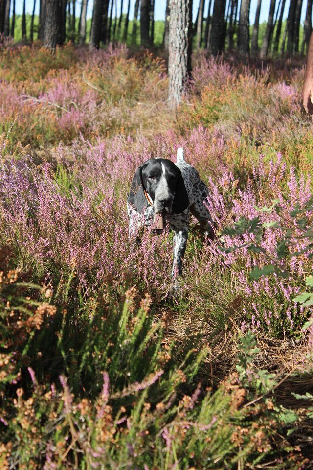 De La Vallee De L'Echelle - OPEN DE FRANCE d'Automne