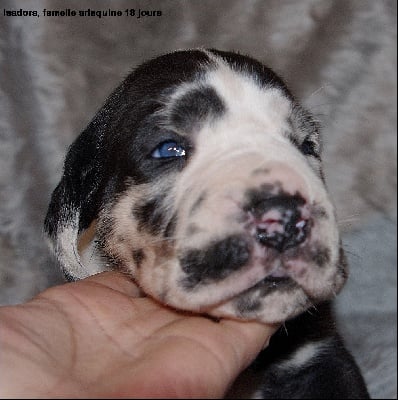 Des nouvelles photos des bebes à 18 jours