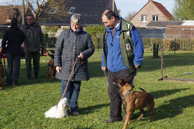 des cavaliers de cecvan - Lova Moor