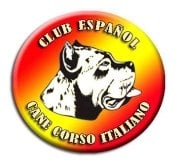 Rothorm Jy Dream - Club Espagnol Cane Corso