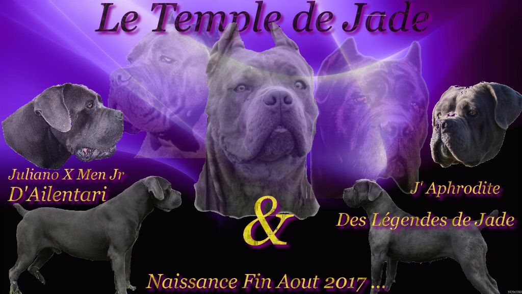 du temple de jade - Gestation Confimée ...