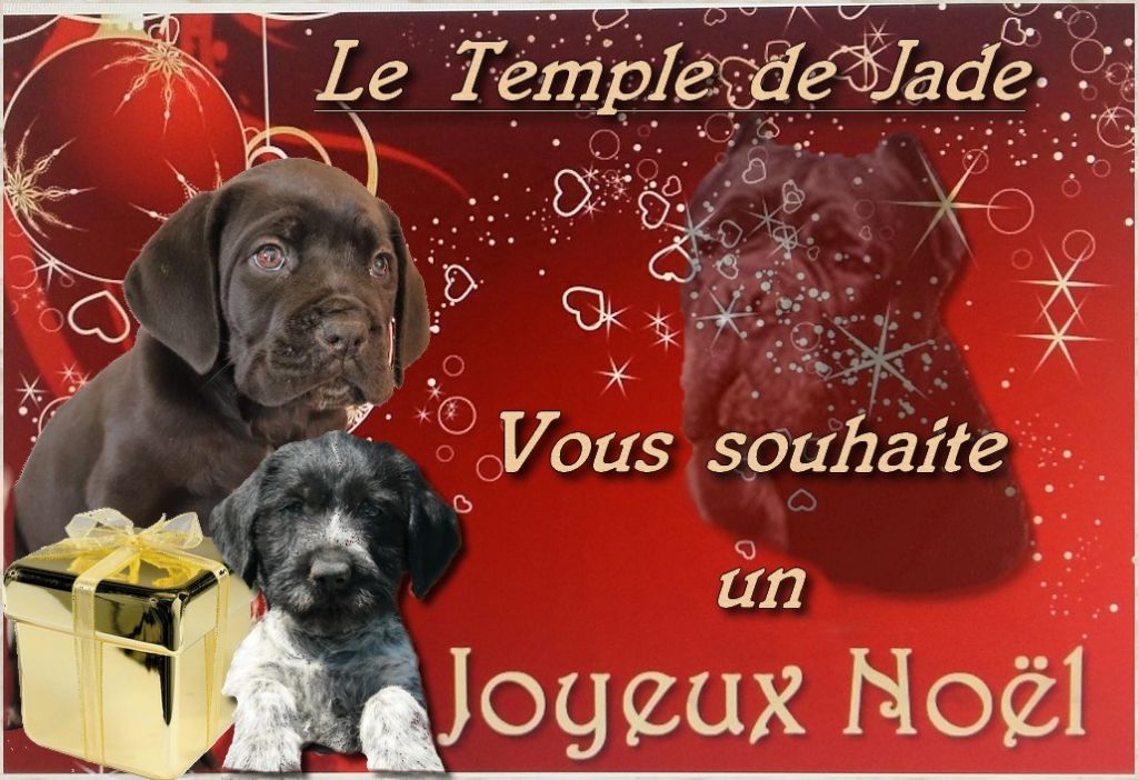 du temple de jade - Joyeux Noel à tous ...