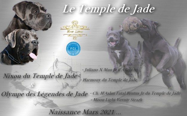 du temple de jade - Gestation Confirmée ...