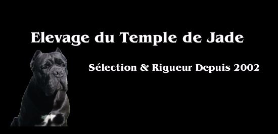 du temple de jade - Résultats de la 13ème Nationale D'élevage du Cane Corso ...