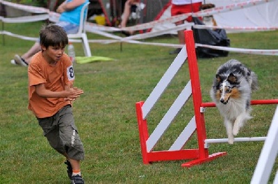 du Lorecé - L'agility avec Basco ...