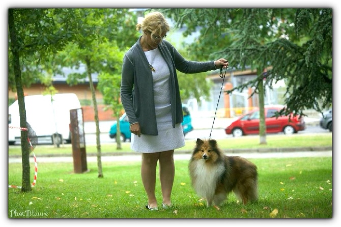 du Lorecé - CACIB et meilleur de race pour galopin !