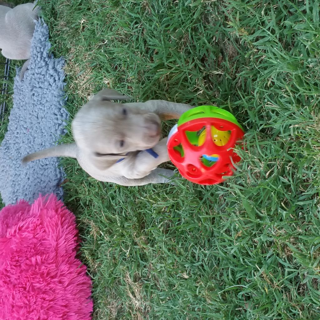 3 semaines : première sortie au jardin