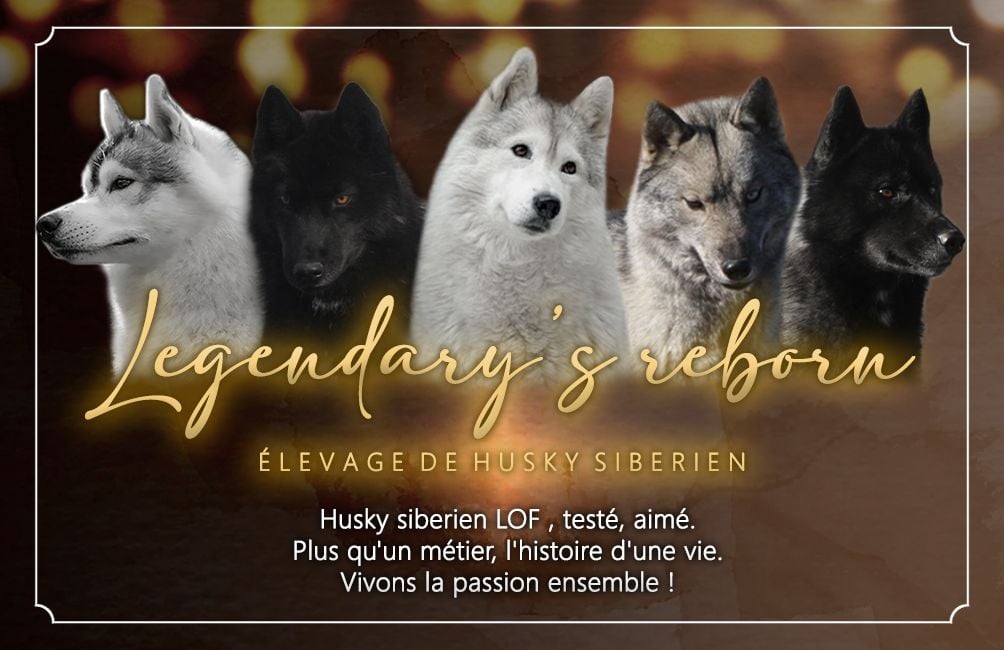 Of Legendary's Reborn - Nouvelle page Facebook !