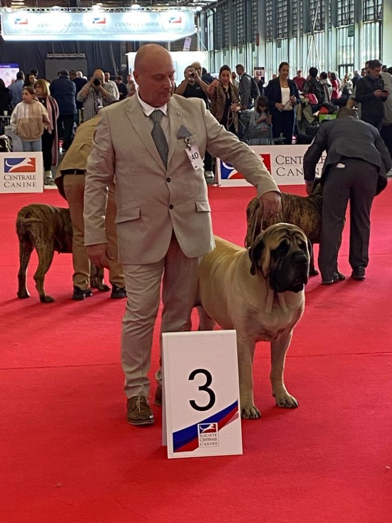 Championnat de France et Championnat d'Europe 2022 à Villepinte 