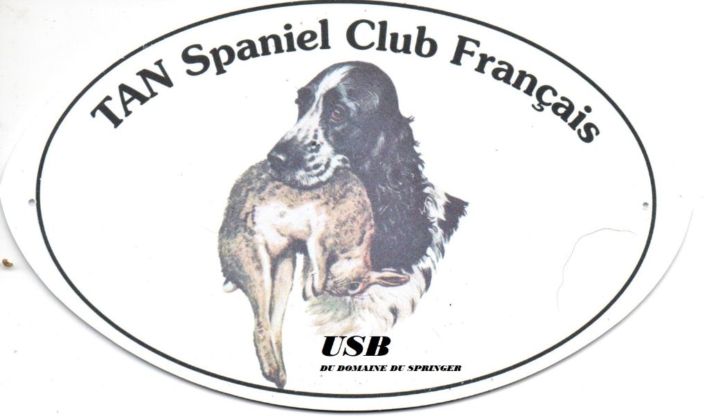 Du Domaine Du Springer - TAN USB