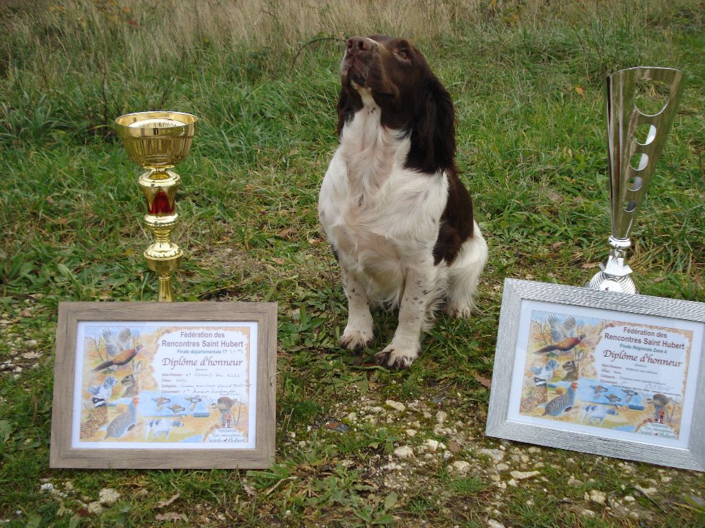 Du Domaine Du Springer - CHAMPION REGIONAL ST HUBERT 2019