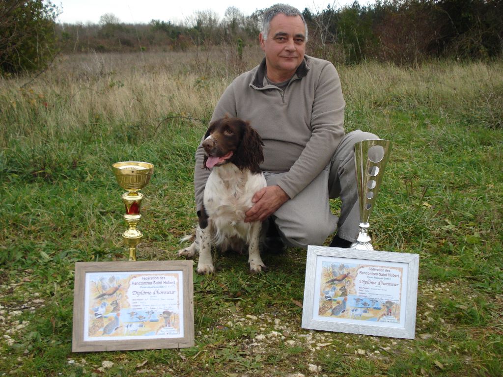 Du Domaine Du Springer - CHAMPION DEPARTEMENTAL ST HUBERT 2019