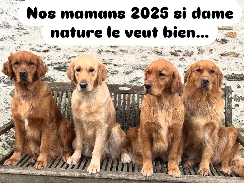 Nos mamans 2025