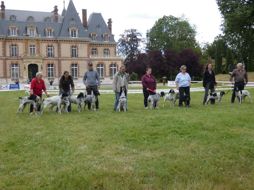 Spécial de race, Chartres Spoir, 16/06/2024