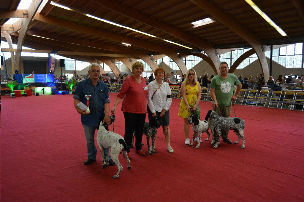 du ruisseau de Montbrun - Spéciale de Race de Saulieu