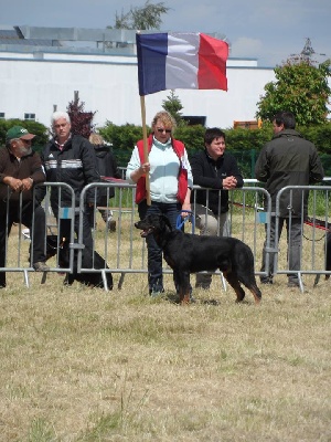 De la noé du jardin - NATIONALE D ELEVAGE 2013