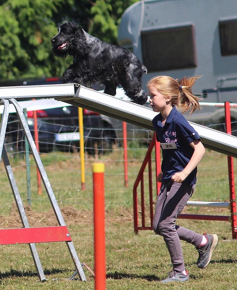 du Domaine de Kérarzic Vilin - Championnat de bretagne d'agility