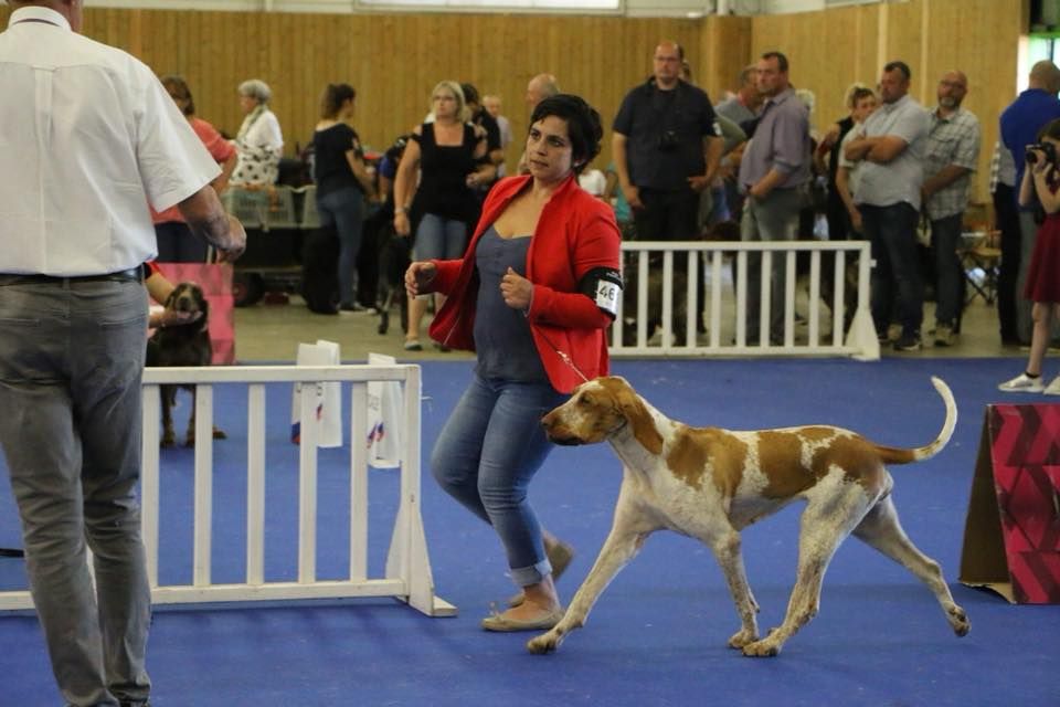 du Domaine de Kérarzic Vilin - Championnat de France