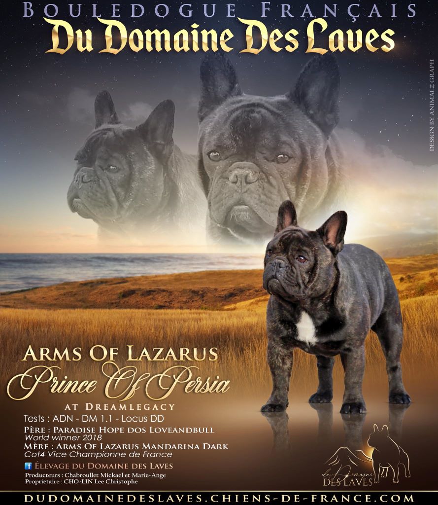 Du Domaine Des Laves - Nouvelle recrue 