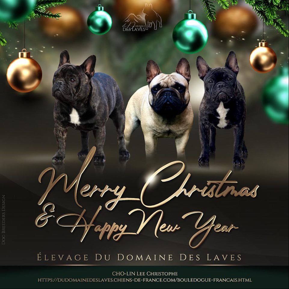 Du Domaine Des Laves - Joyeuses Fêtes de Fin d'Année  