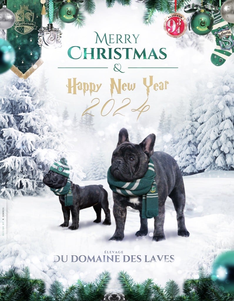 Du Domaine Des Laves - Joyeuses Fêtes de Fin d'Année