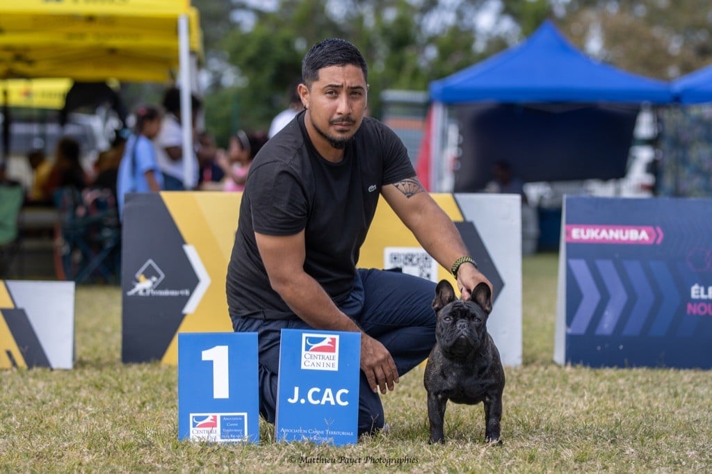 Du Domaine Des Laves - Résultats Exposition canine 17 & 18 Aout 2024