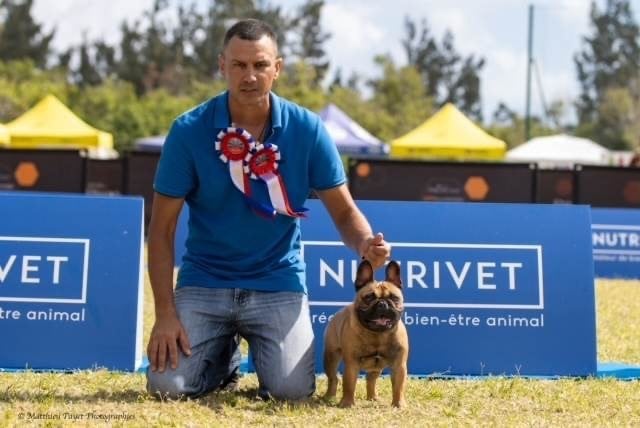 Résultats Exposition canine 17 & 18 Aout 2024