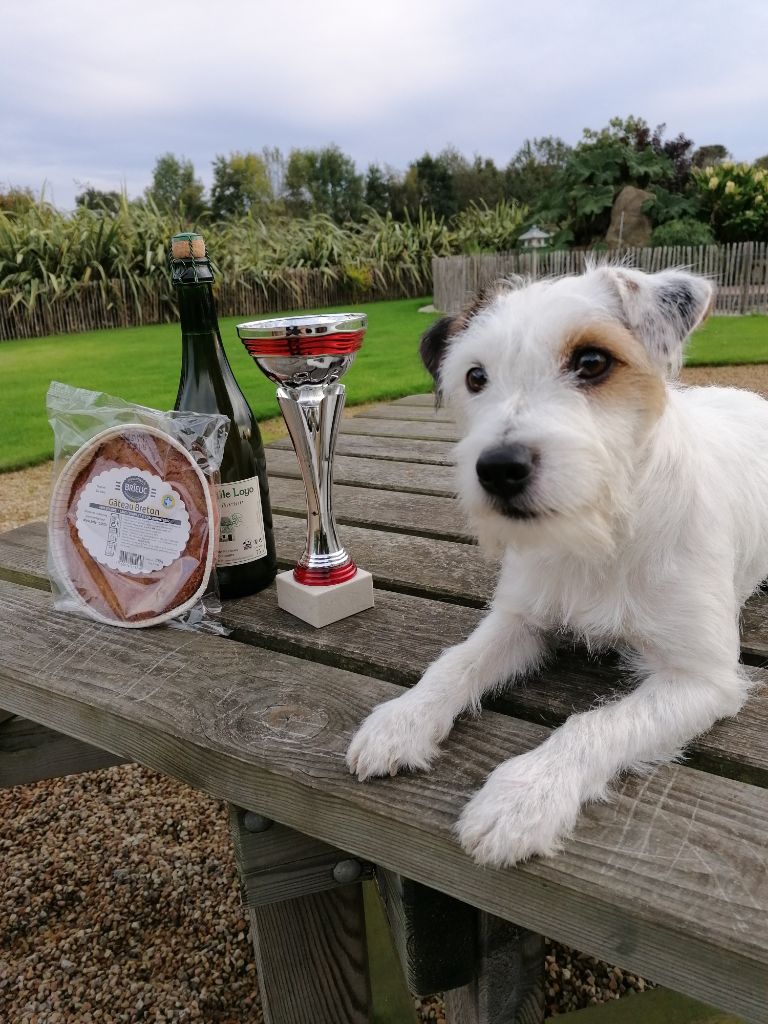 De La Vallée Du Bois Riou - Concours d'agility 