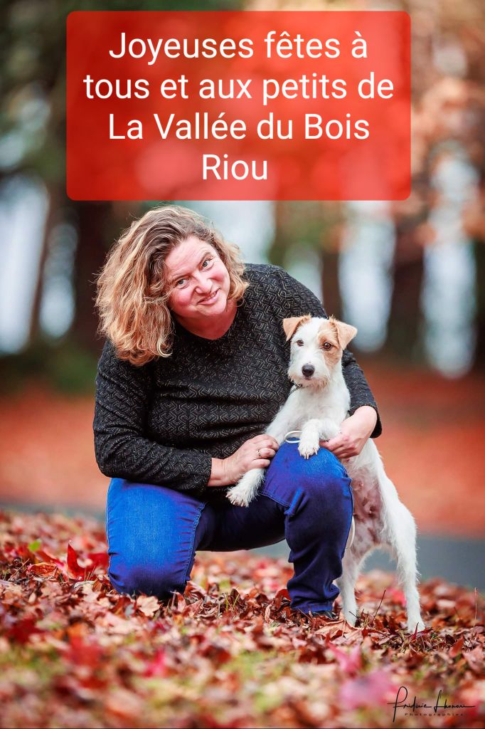 De La Vallée Du Bois Riou - Joyeuses fêtes de fin d'année