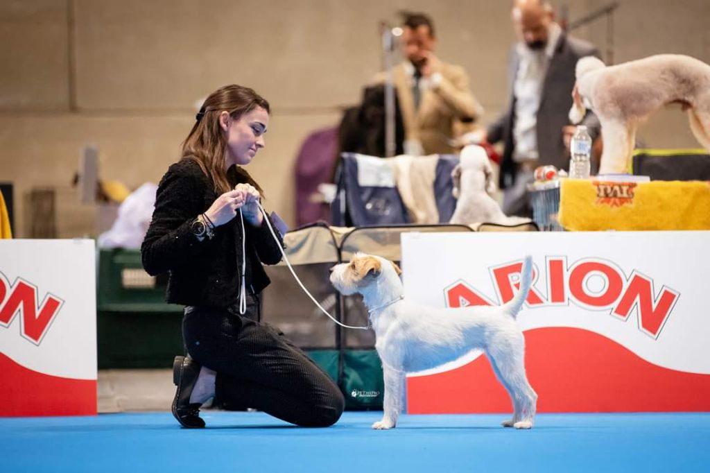 De La Vallée Du Bois Riou - Championnat du monde à Madrid