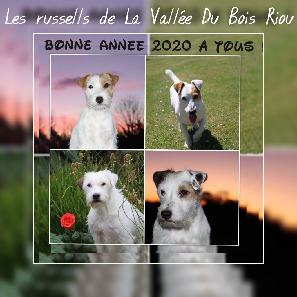 De La Vallée Du Bois Riou - Belle et heureuse année 2020 à tous 