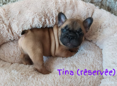 Tina