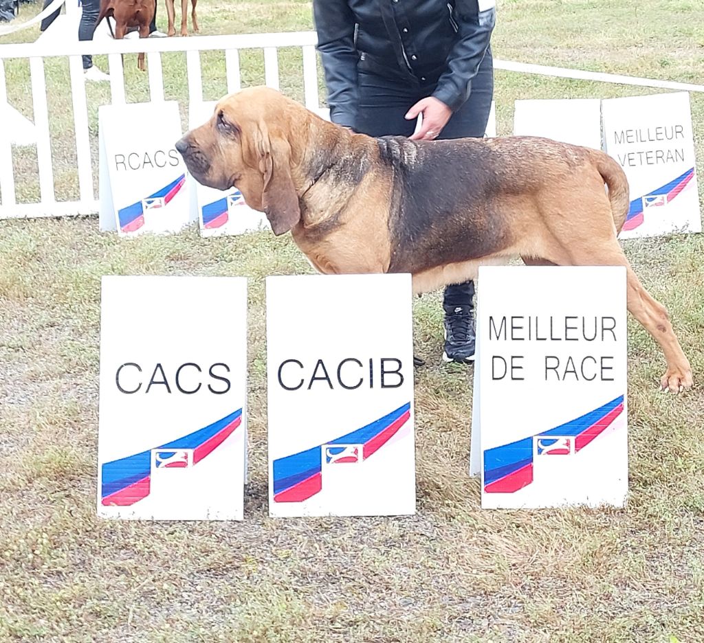 Du Massif De Sourroque - Championnat de France 2024