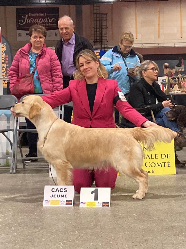 Peace And Love Golden - Résultats d'exposition - Lons Le Saunier 2024 