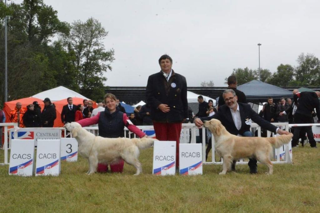 Peace And Love Golden - CHAMPIONNAT DE FRANCE 2024 - Montluçon 02 Juin 2024 