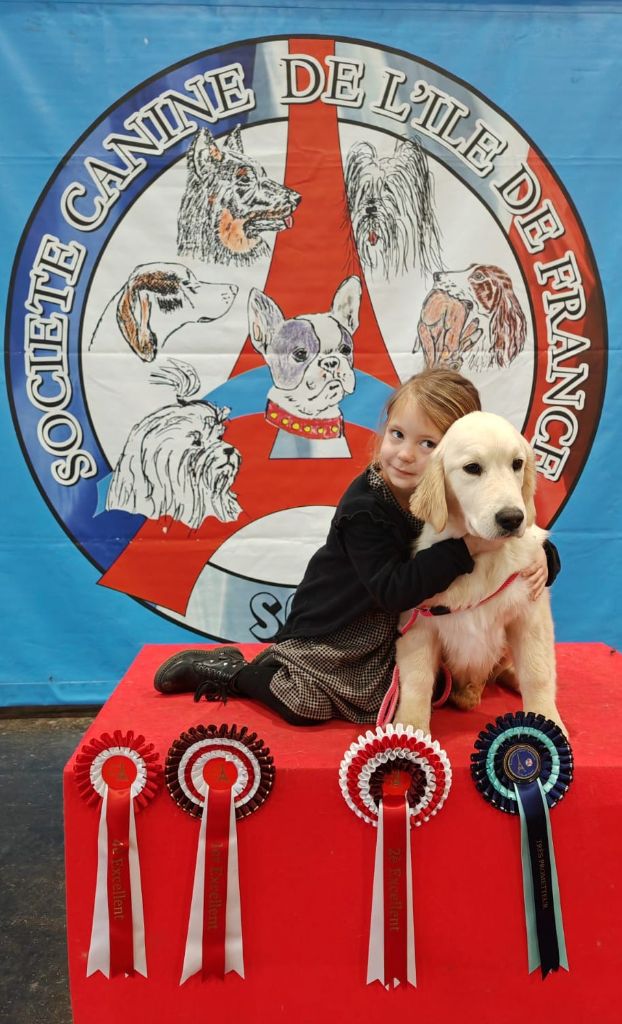 Peace And Love Golden - Résultat D'EXPOSITION - Paris Dog Show 2024  ! 