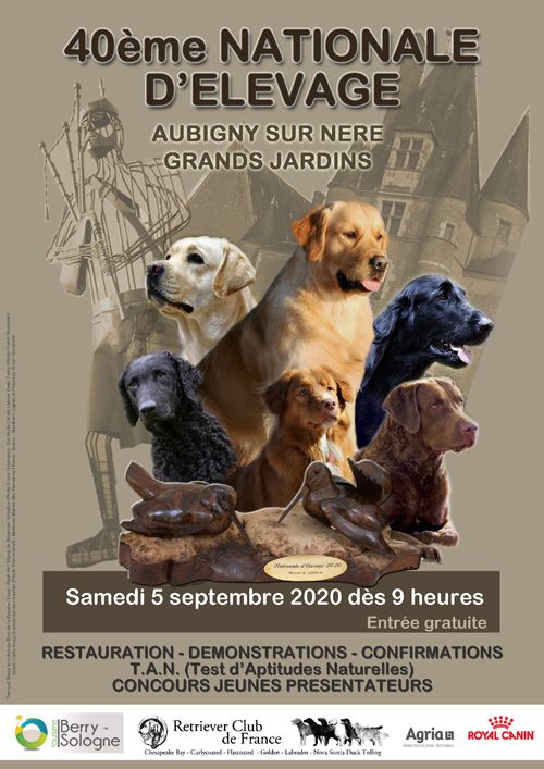 Sweet Loving Labs - Nationale d'élevage Retriever